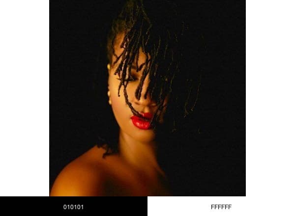 Silvia Njoki brand color palette