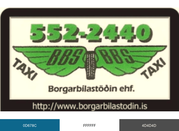 Borgarbílastöðin.Ehf brand color palette