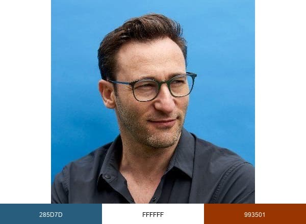 Simon Sinek brand color palette