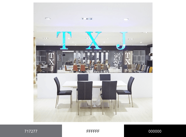 TXJ International Ltd brand color palette