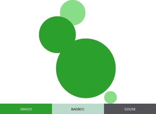 Skrima Limited brand color palette