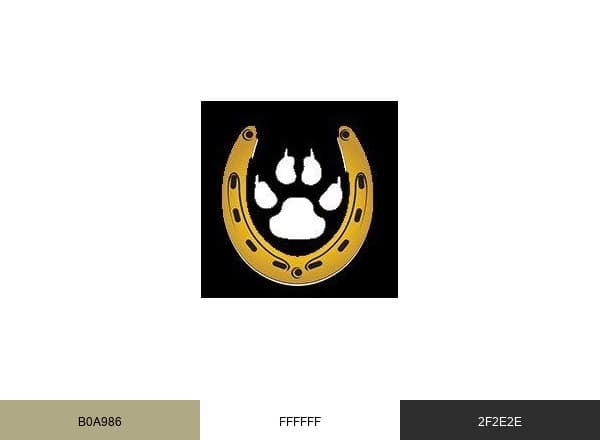 Sky High Wilderness Ranch brand color palette