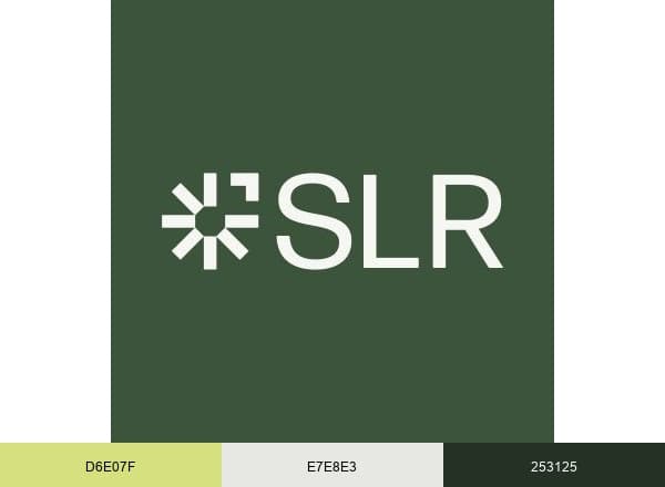 SLR Consulting brand color palette