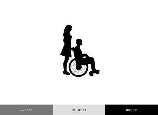 SnfSoft brand color palette