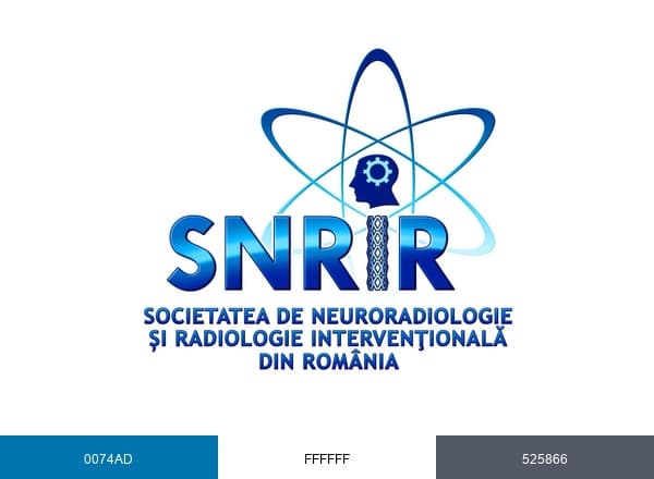 SNRIR brand color palette