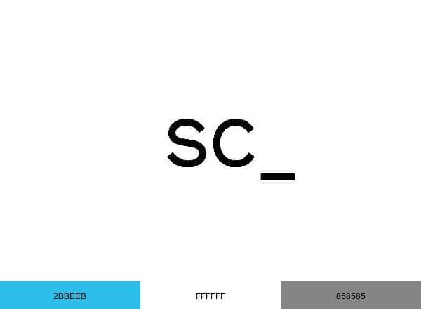 Social Capital brand color palette