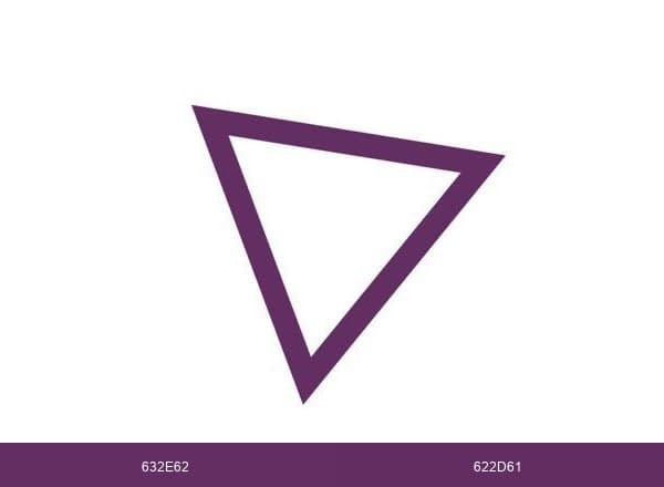 Social Hali's brand color palette