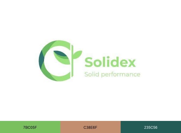 Solidex Home Healthcare Services brand color palette