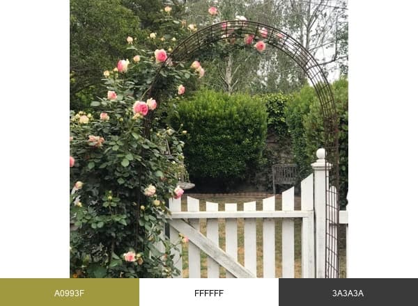 Somerville Gardens brand color palette