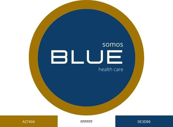 Blue Health Care brand color palette