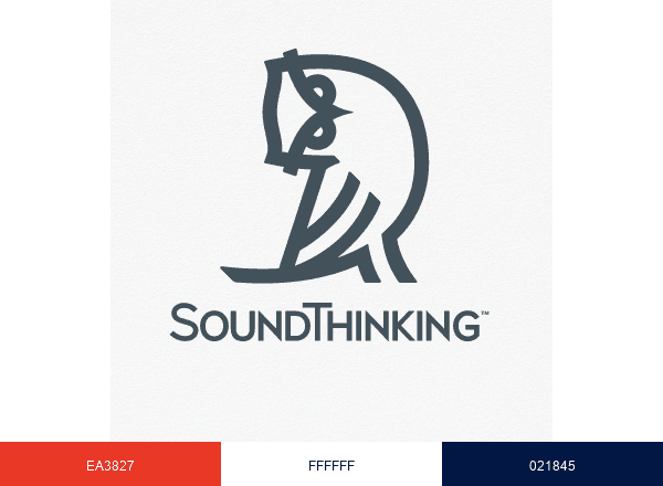SoundThinking brand color palette