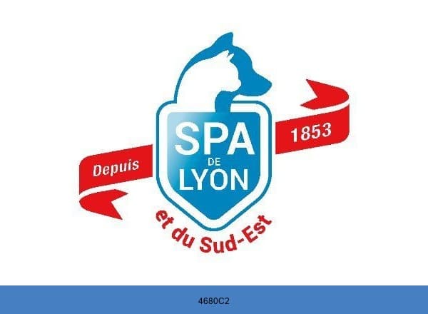 SPA de Lyon brand color palette