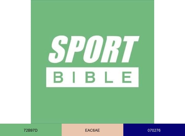 SPORTbible brand color palette
