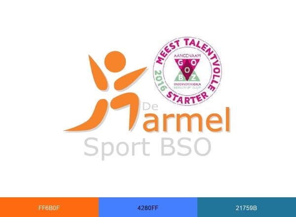 SportBSO NL brand color palette