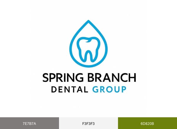 Spring Branch Dental Group brand color palette