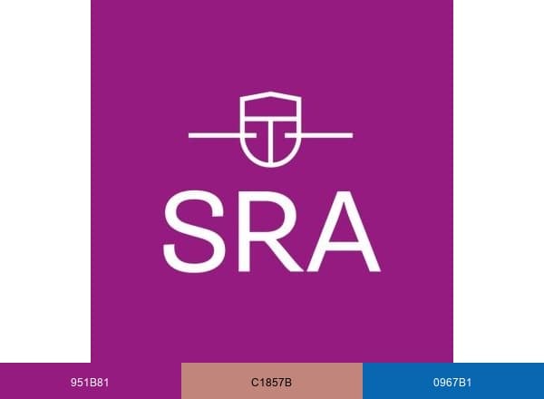 SRA-Accountantskantoren brand color palette