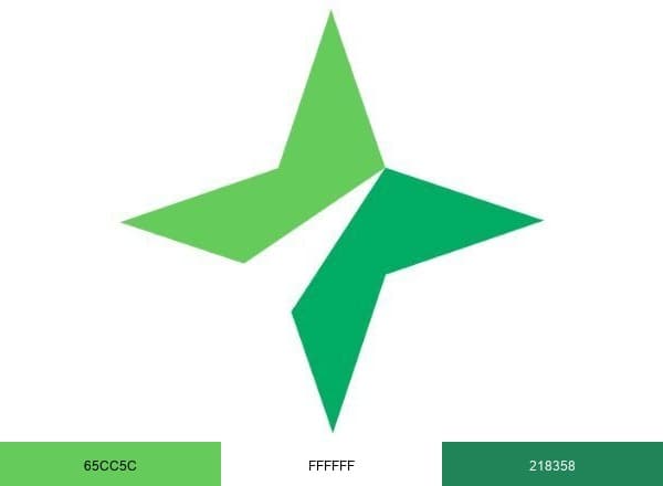 The Minnesota Star Tribune brand color palette