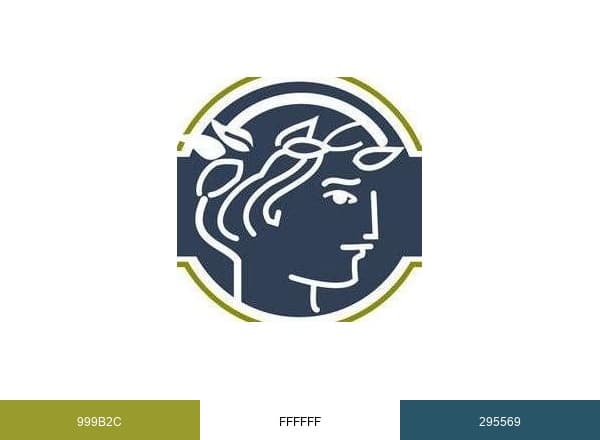 Statue.com brand color palette