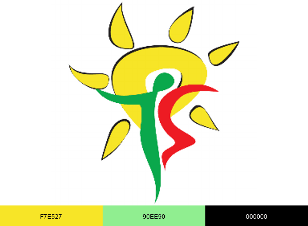 Steadyhealth brand color palette