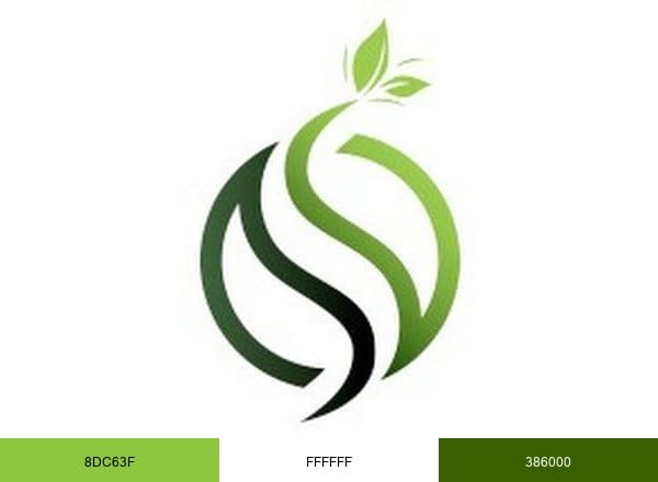 Steiner Lawn Care brand color palette