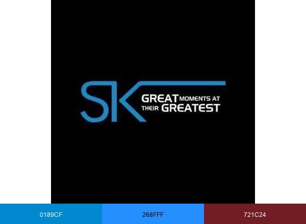 Ster-Kinekor brand color palette