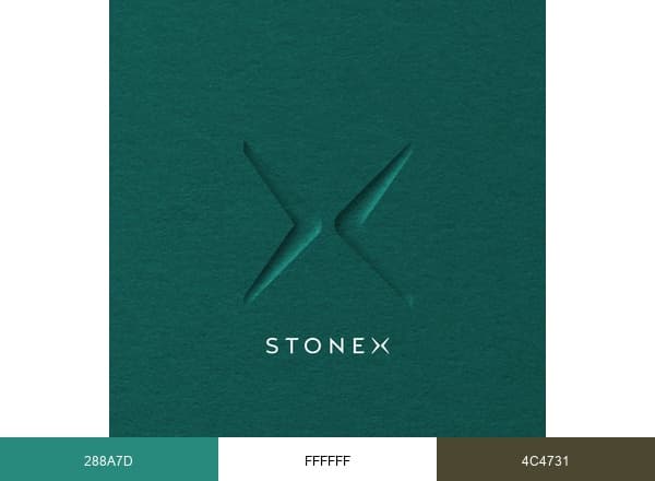 Stonex India Pvt. Ltd. brand color palette