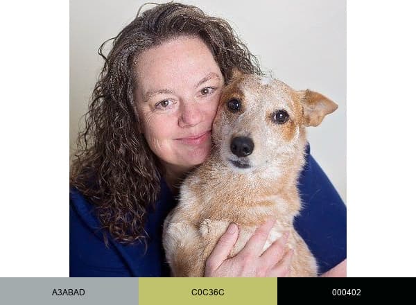 Striegel Animal Hosp brand color palette