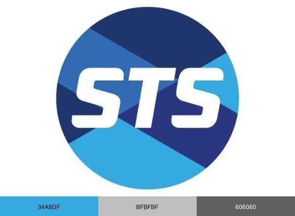 STS Group brand color palette