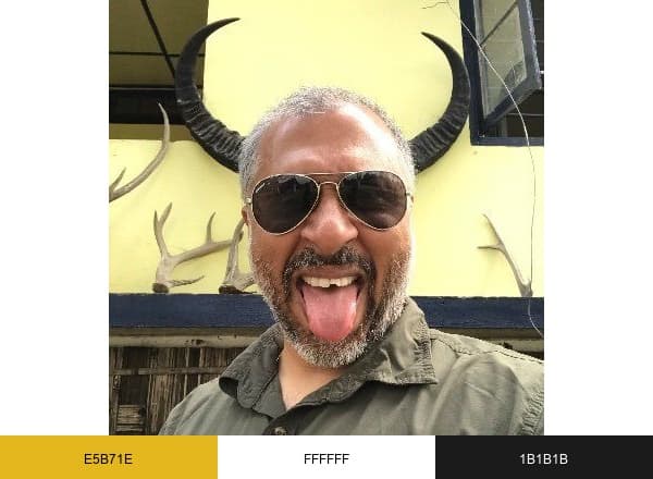 Sudhir Shivaram brand color palette
