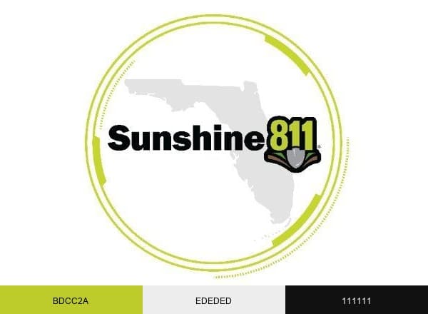 Sunshine 811 brand color palette
