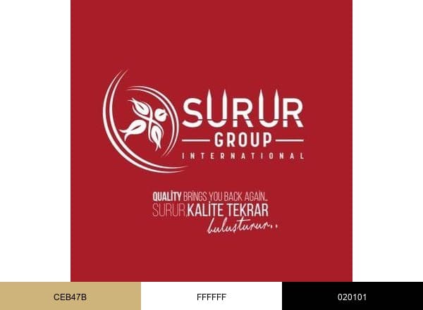 Surur Group International brand color palette
