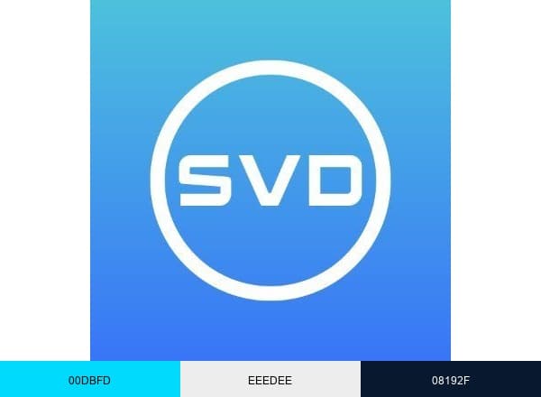 Silicon Valley Disposition brand color palette
