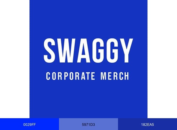SWAGGY.agency brand color palette