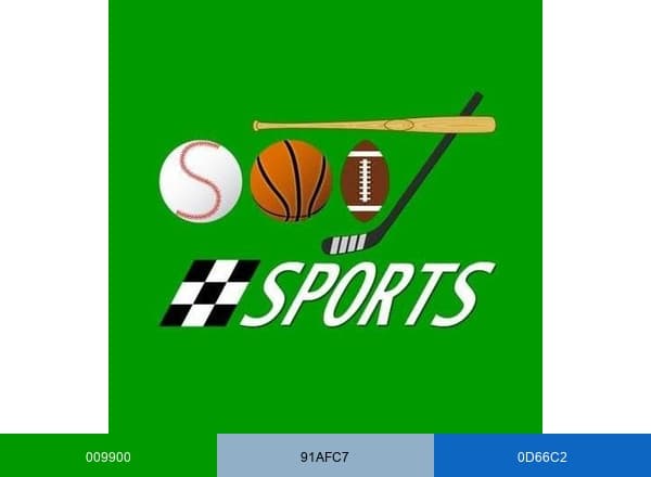 SWIT Sports brand color palette