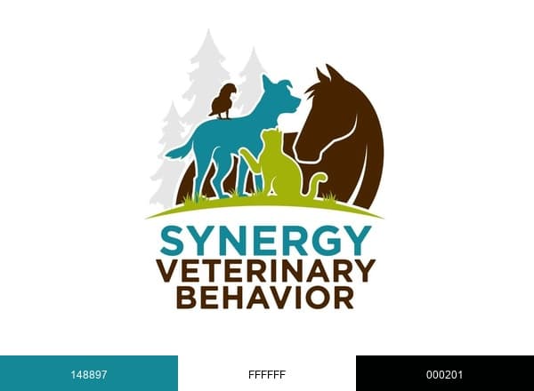 Synergy Veterinary Behavior brand color palette