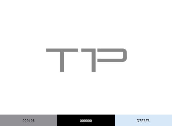 Think 1st Principles brand color palette