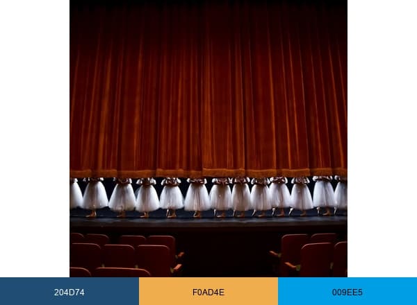 Tacoma City Ballet brand color palette