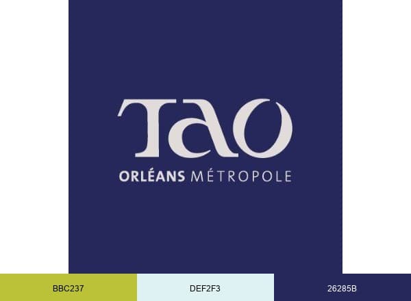 Réseau TAO Orléans brand color palette