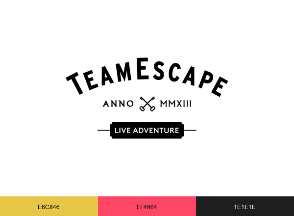 X TeamEscape brand color palette