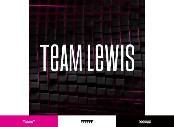 TEAM LEWIS brand color palette