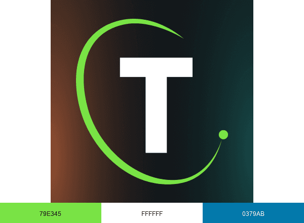 TeamWork Online brand color palette