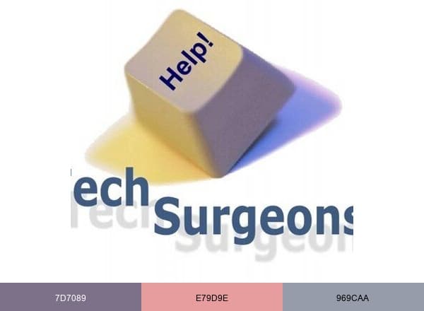 TechSurgeons LLC brand color palette