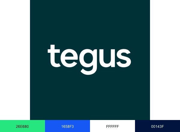 Tegus brand color palette