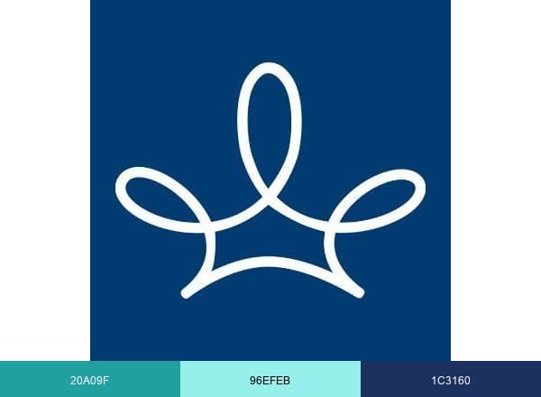 Terryberry brand color palette