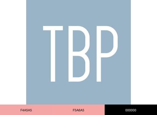 Bambi Haines brand color palette