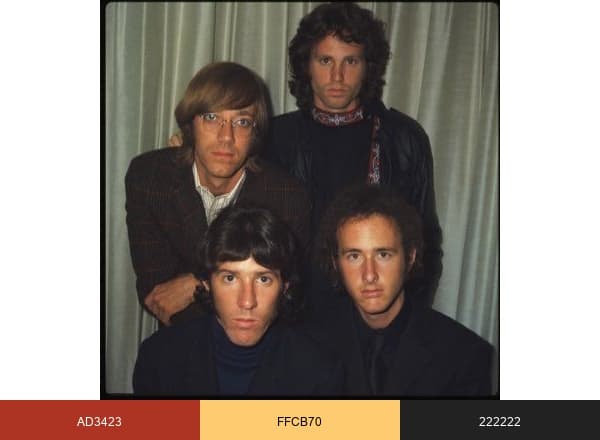 The Doors brand color palette