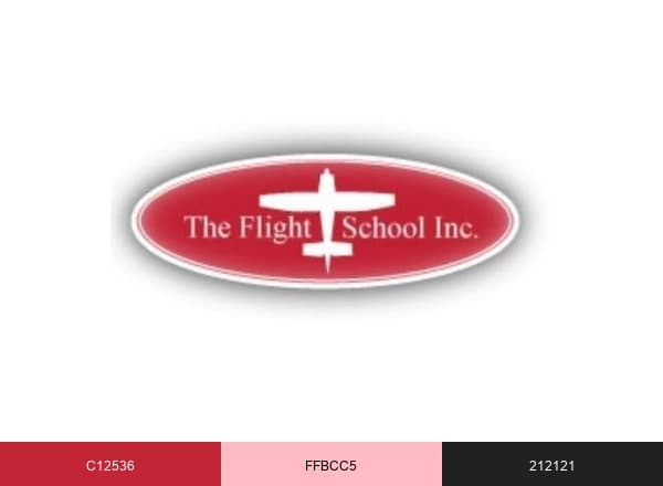 The Flight School Inc brand color palette