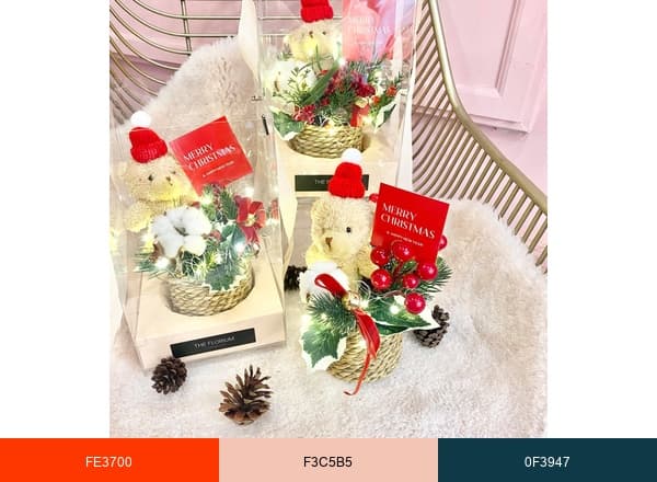 THE FLORIUM brand color palette