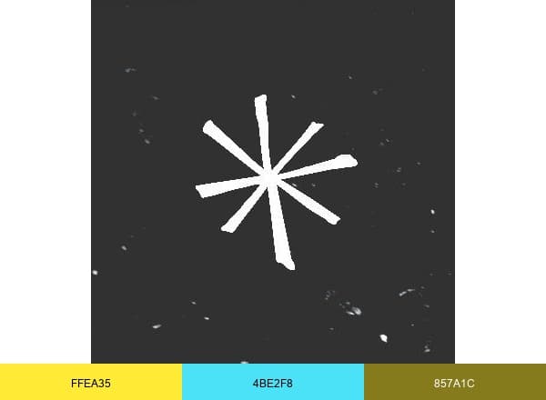 The Improv Shop brand color palette