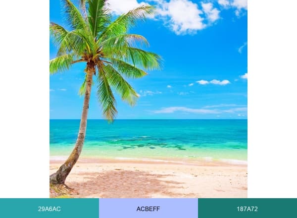 The Lighthouse Retreat Little Corn island brand color palette